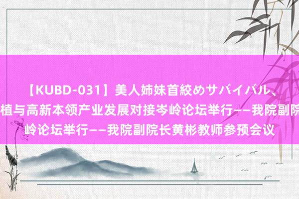 【KUBD-031】美人姉妹首絞めサバイバル、私生きる 中国劳动扶植与高新本领产业发展对接岑岭论坛举行——我院副院长黄彬教师参预会议