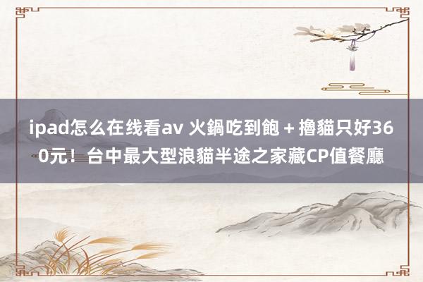 ipad怎么在线看av 火鍋吃到飽＋擼貓只好360元！台中最大型浪貓半途之家藏CP值餐廳