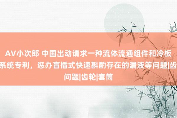 AV小次郎 中国出动请求一种流体流通组件和冷板式液冷系统专利，惩办盲插式快速斟酌存在的漏液等问题|齿轮|套筒