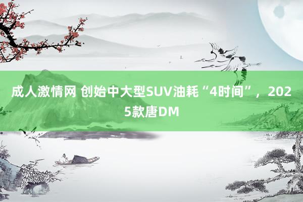 成人激情网 创始中大型SUV油耗“4时间”，2025款唐DM