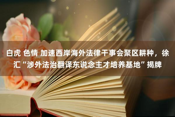 白虎 色情 加速西岸海外法律干事会聚区耕种，徐汇“涉外法治翻译东说念主才培养基地”揭牌