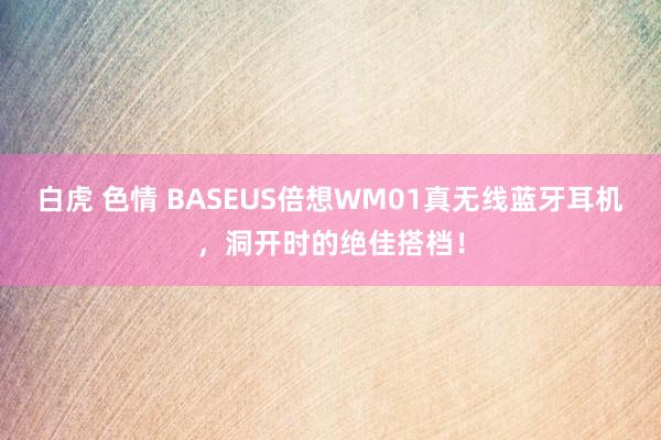 白虎 色情 BASEUS倍想WM01真无线蓝牙耳机，洞开时的绝佳搭档！