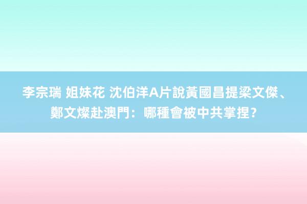 李宗瑞 姐妹花 沈伯洋A片說　黃國昌提梁文傑、鄭文燦赴澳門：哪種會被中共掌捏？