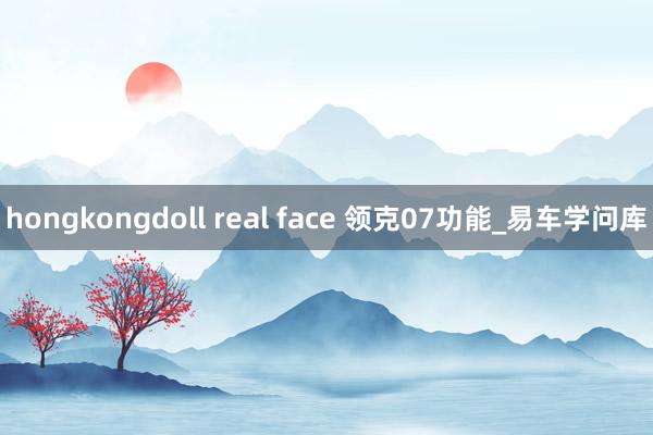 hongkongdoll real face 领克07功能_易车学问库