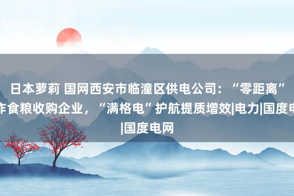 日本萝莉 国网西安市临潼区供电公司：“零距离”工作食粮收购企业，“满格电”护航提质增效|电力|国度电网